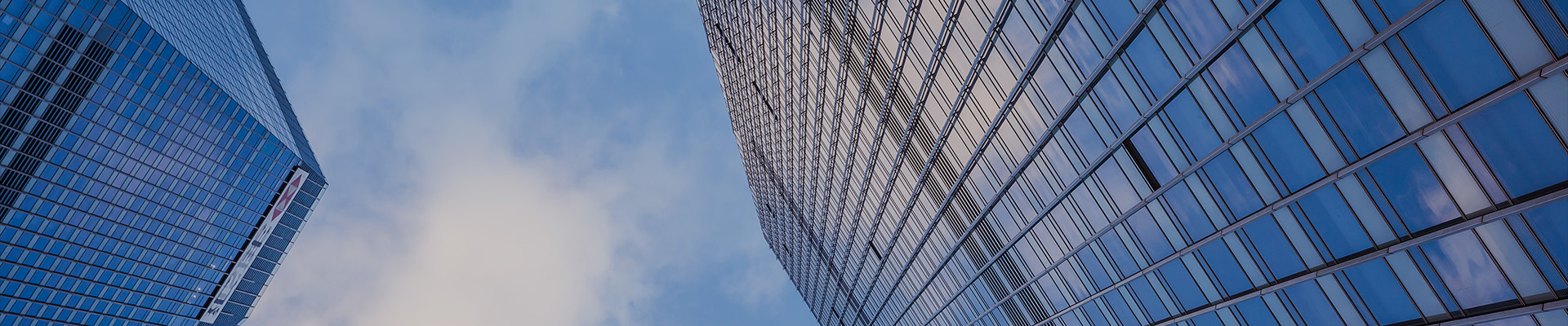 东方龙商务企业文化