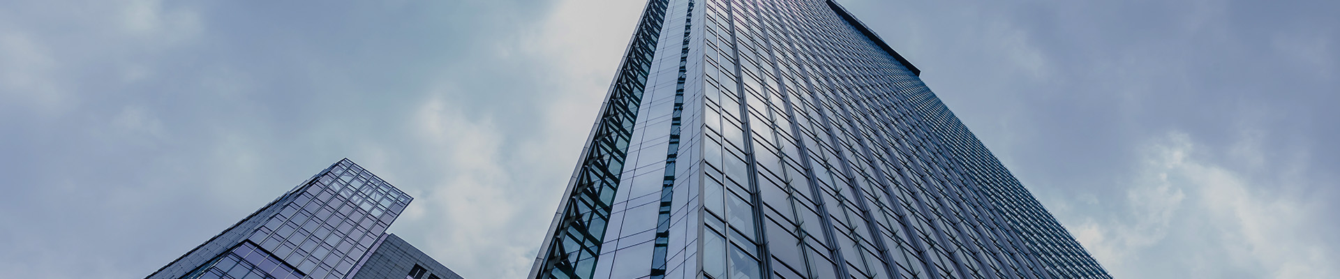 联系东方龙商务