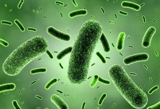 美国应用型纳米技术投资选址项目